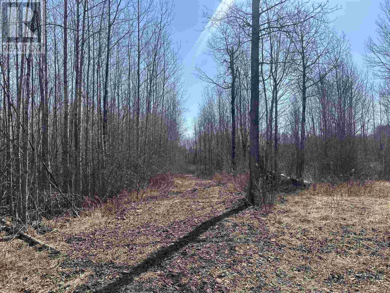 Lt 9 Con 2 Road 5 South, Shuniah, Ontario  P0T 2M0 - Photo 22 - TB253161