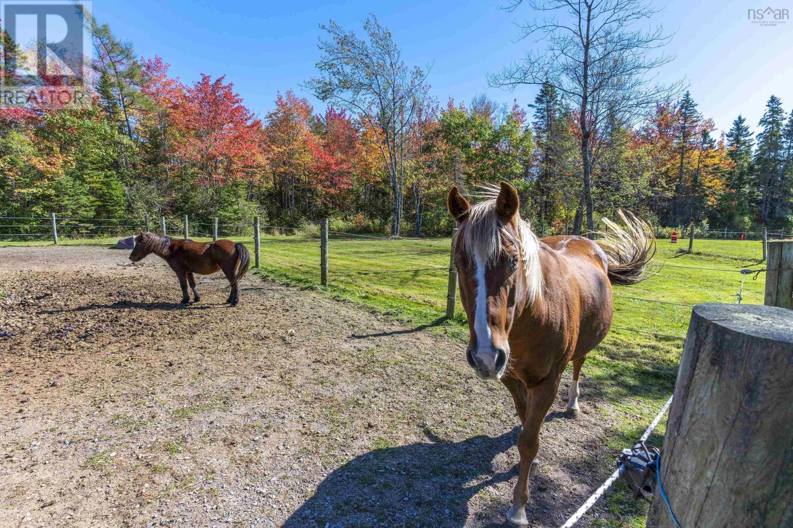 34 Horne Settlement Road, Enfield, Nova Scotia  B2T 1A7 - Photo 41 - 202525340