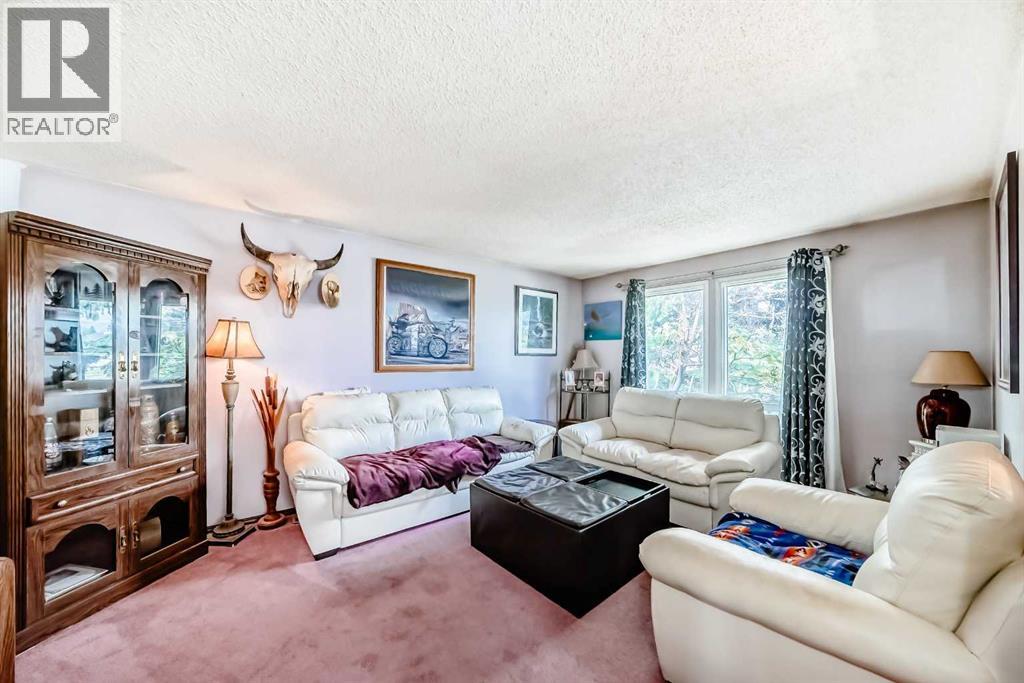 52 Castlebrook Rise Ne, Calgary, Alberta  T3J 1R5 - Photo 4 - A2259458