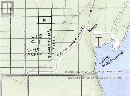 Pl25c1allan Gangster's Line, Gore Bay, Ontario  P0P 1H0 - Photo 1 - 2125127