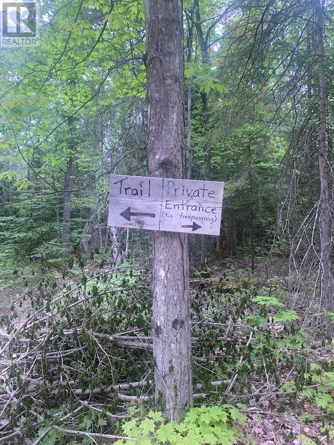 Pl25c1allan Gangster's Line, Gore Bay, Ontario  P0P 1H0 - Photo 6 - 2125127