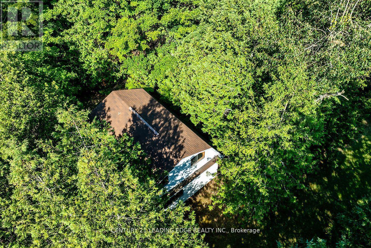 529 Sawmill Road, Douro-Dummer, Ontario  K0L 2H0 - Photo 42 - X12449781