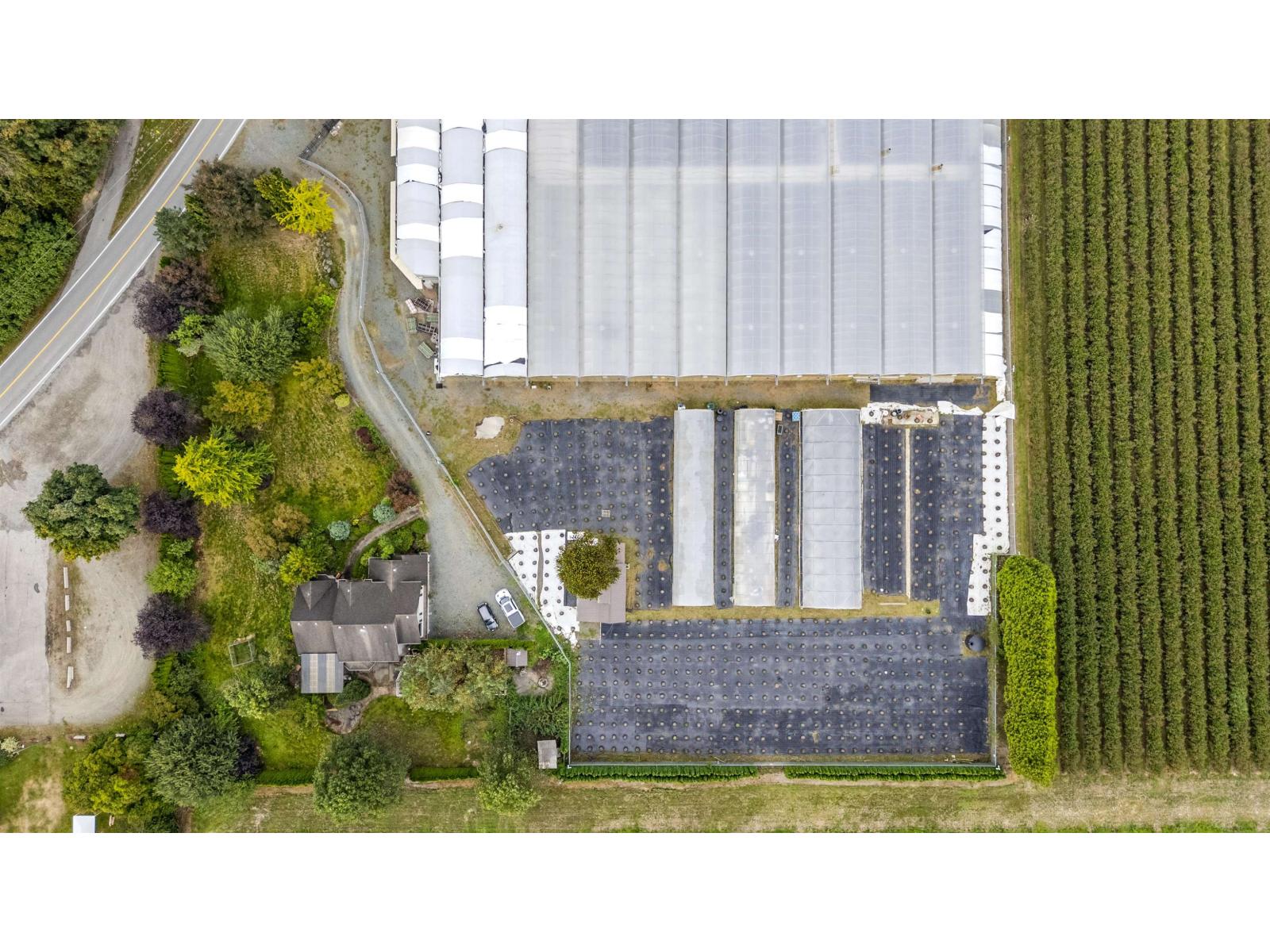 50318 Camp River Road, Rosedale, Rosedale, British Columbia  V2P 6H4 - Photo 11 - C8072696