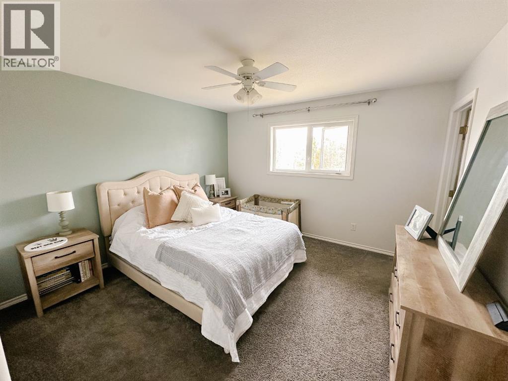6125 54 Street, Rocky Mountain House, Alberta  T4T 1P1 - Photo 8 - A2262665