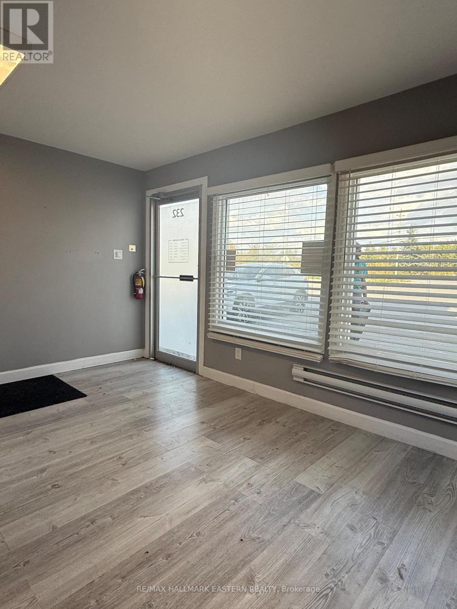 232 Main Street, Kawartha Lakes, Ontario  K0M 1A0 - Photo 3 - X12449400