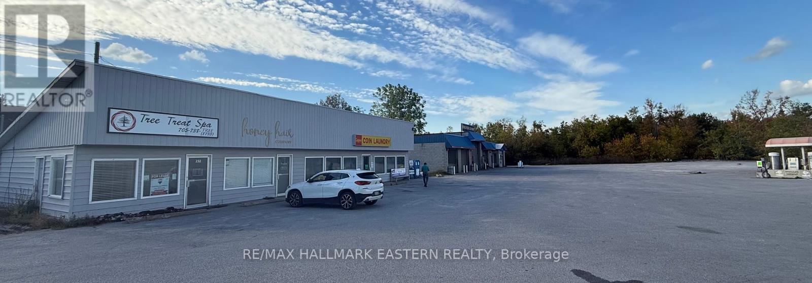 232 Main Street, Kawartha Lakes, Ontario  K0M 1A0 - Photo 7 - X12449400