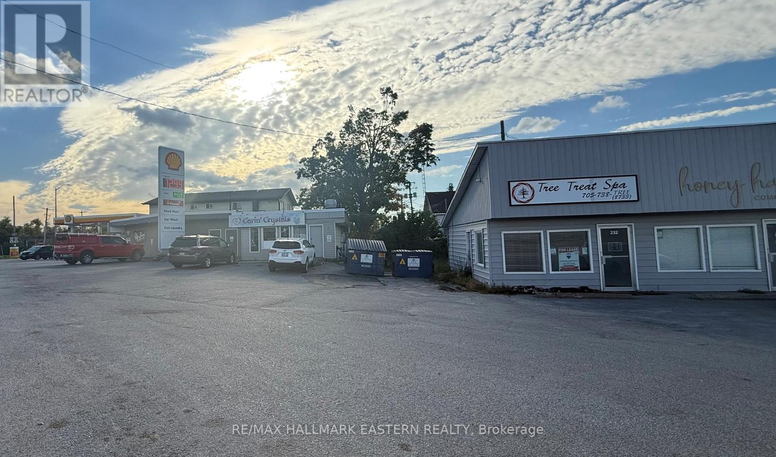 232 Main Street, Kawartha Lakes, Ontario  K0M 1A0 - Photo 8 - X12449400