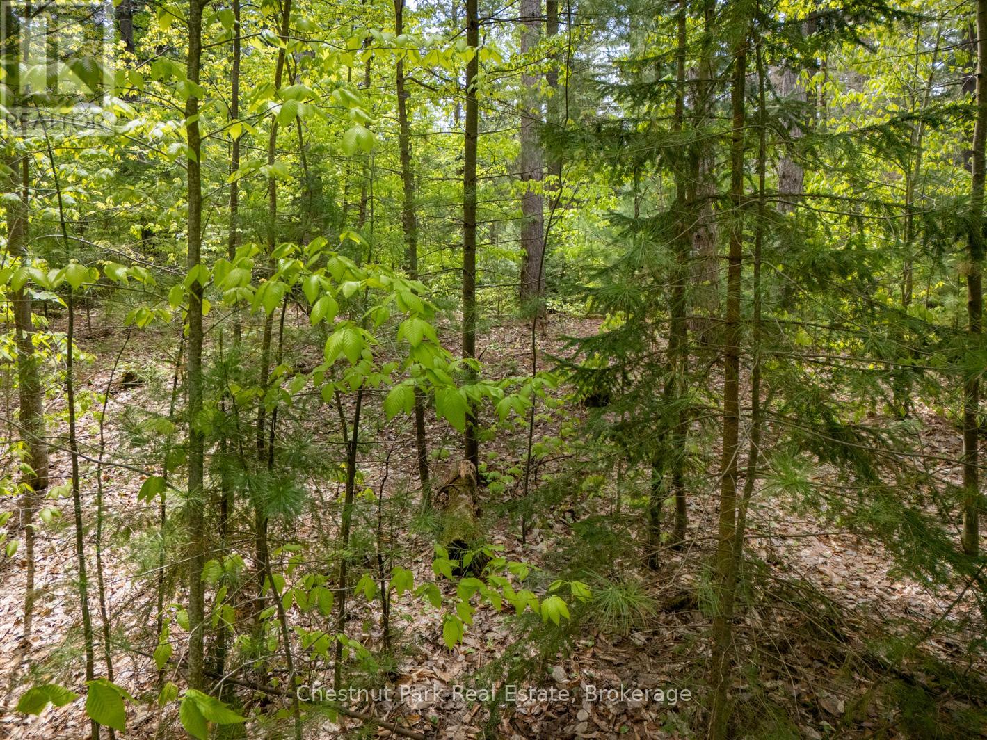 Pt 2 Lt 24 4th Line E, Mulmur, Ontario  L9V 0J6 - Photo 21 - X12450136