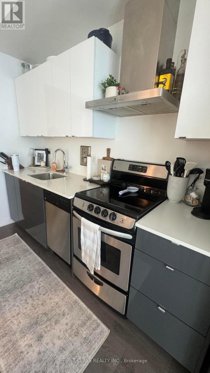 1007 - 51 East Liberty Street E, Toronto, Ontario  M6K 3P8 - Photo 5 - C12450158