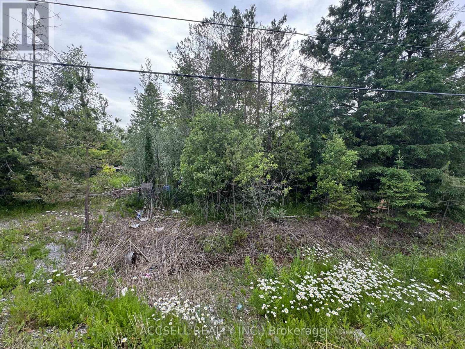 21416 48 Highway, East Gwillimbury, Ontario  L0G 1M0 - Photo 1 - N12450145