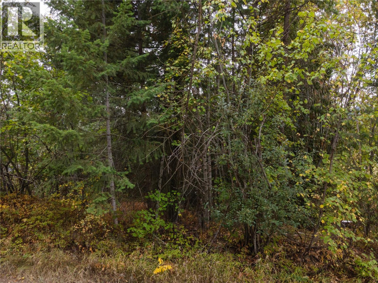 Centennial Drive Lot# 48, Blind Bay, British Columbia  V0E 1H1 - Photo 19 - 10364665