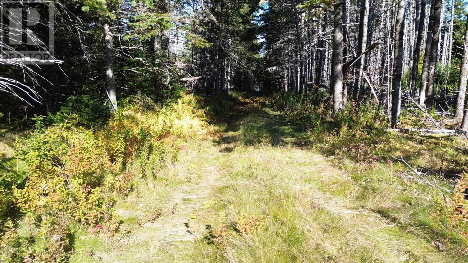 #4 Highway, St. Peter's, Nova Scotia  B0E 3B0 - Photo 15 - 202123225