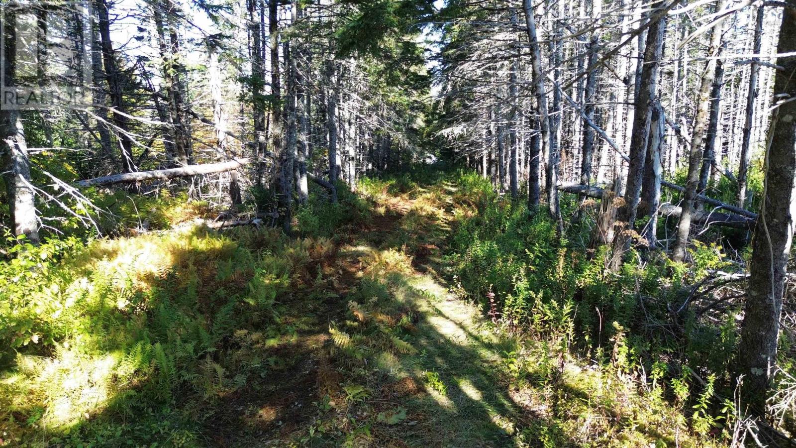 #4 Highway, St. Peter's, Nova Scotia  B0E 3B0 - Photo 17 - 202123225