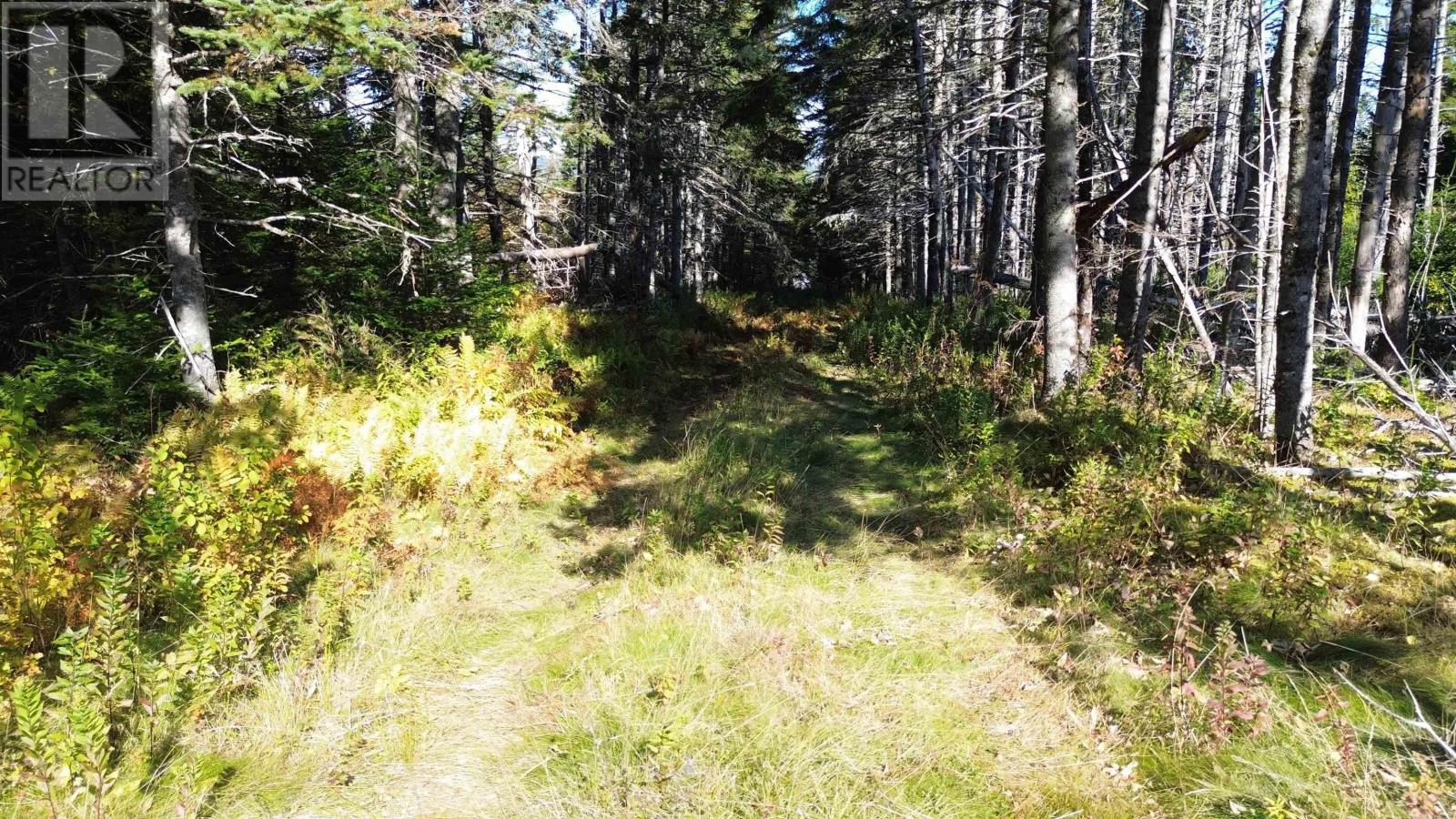 #4 Highway, St. Peter's, Nova Scotia  B0E 3B0 - Photo 16 - 202123225