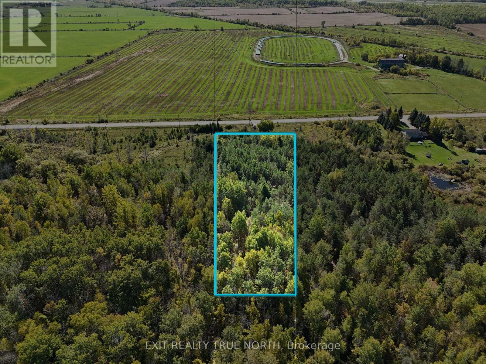 6696 33/34 Nottawasaga Side Road, Clearview, Ontario  L0M 1S0 - Photo 4 - S12450388