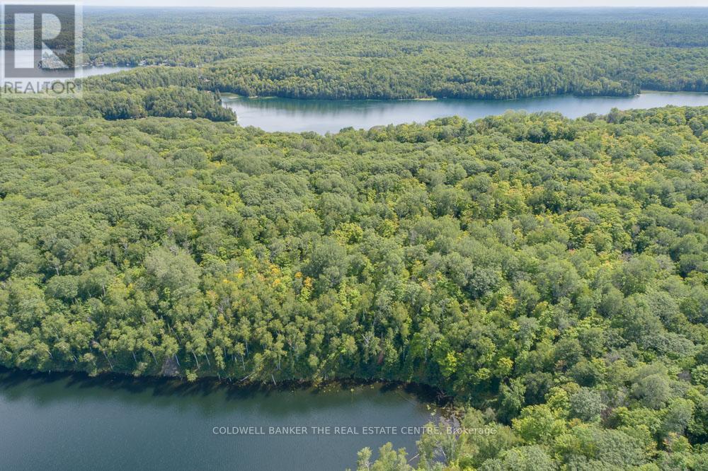 800 Jeffrey Lake Road, Faraday, Ontario  K0L 1C0 - Photo 36 - X12450400
