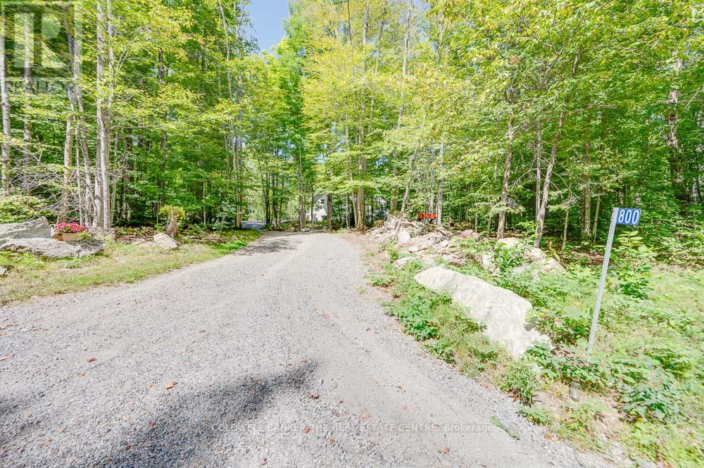 800 Jeffrey Lake Road, Faraday, Ontario  K0L 1C0 - Photo 47 - X12450400