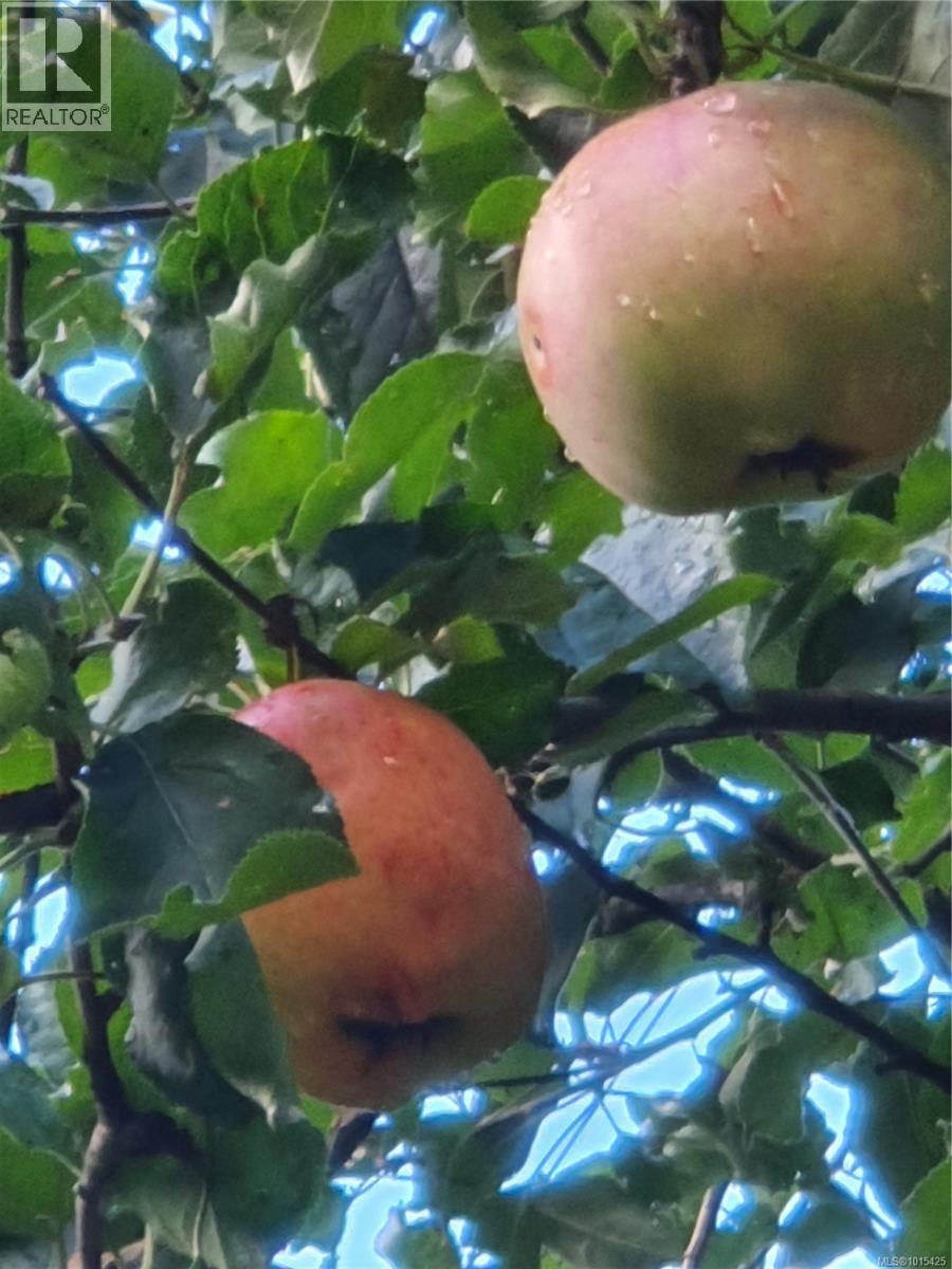 1034 Cowerd Rd, Cobble Hill, British Columbia  V8H 0G9 - Photo 41 - 1015425