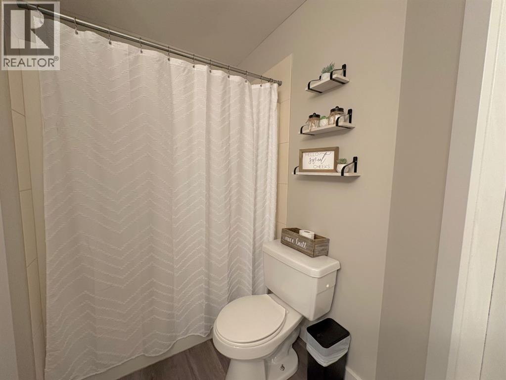 6009 43 Avenue Close, Rocky Mountain House, Alberta  T4T 1W3 - Photo 19 - A2261750