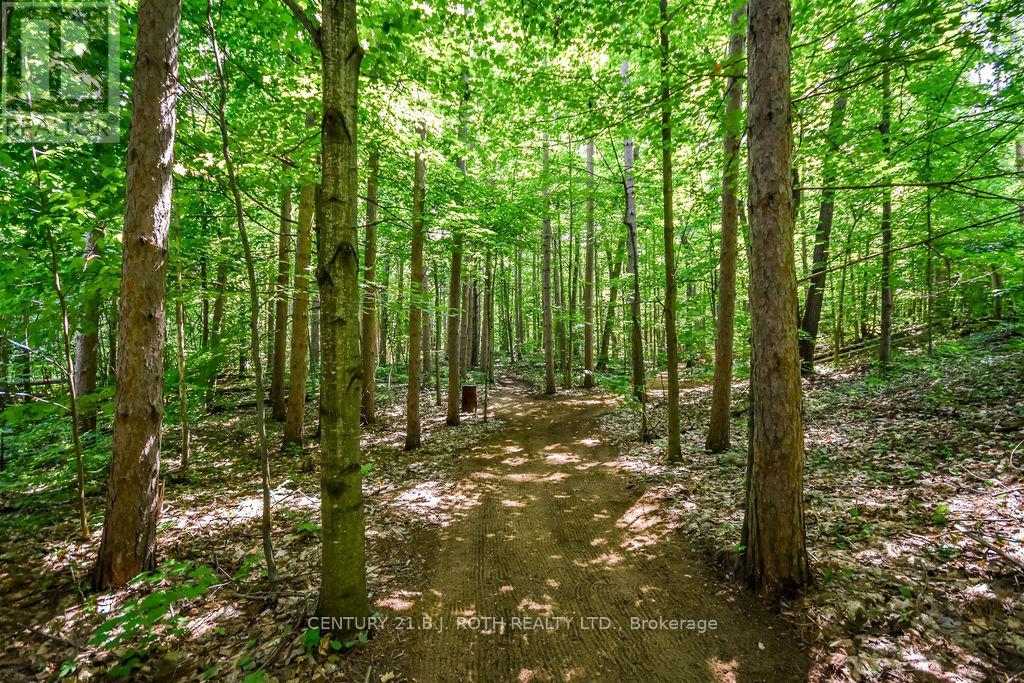 2357 South Orr Lake Road, Springwater, Ontario  L0L 1P0 - Photo 45 - S12450456