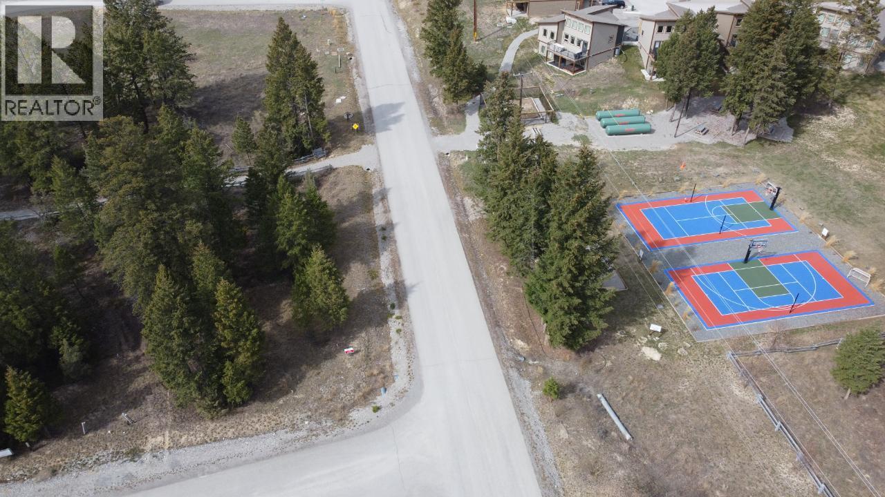 Lot 1 Pedley Heights Drive, Windermere, British Columbia  V0B 2L1 - Photo 1 - 10365311