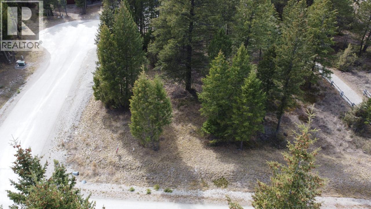 Lot 1 Pedley Heights Drive, Windermere, British Columbia  V0B 2L1 - Photo 2 - 10365311