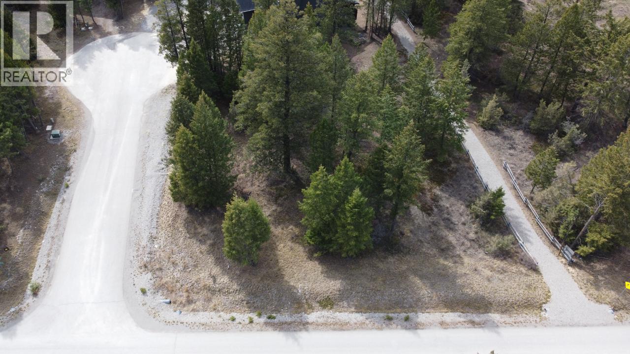 Lot 1 Pedley Heights Drive, Windermere, British Columbia  V0B 2L1 - Photo 3 - 10365311