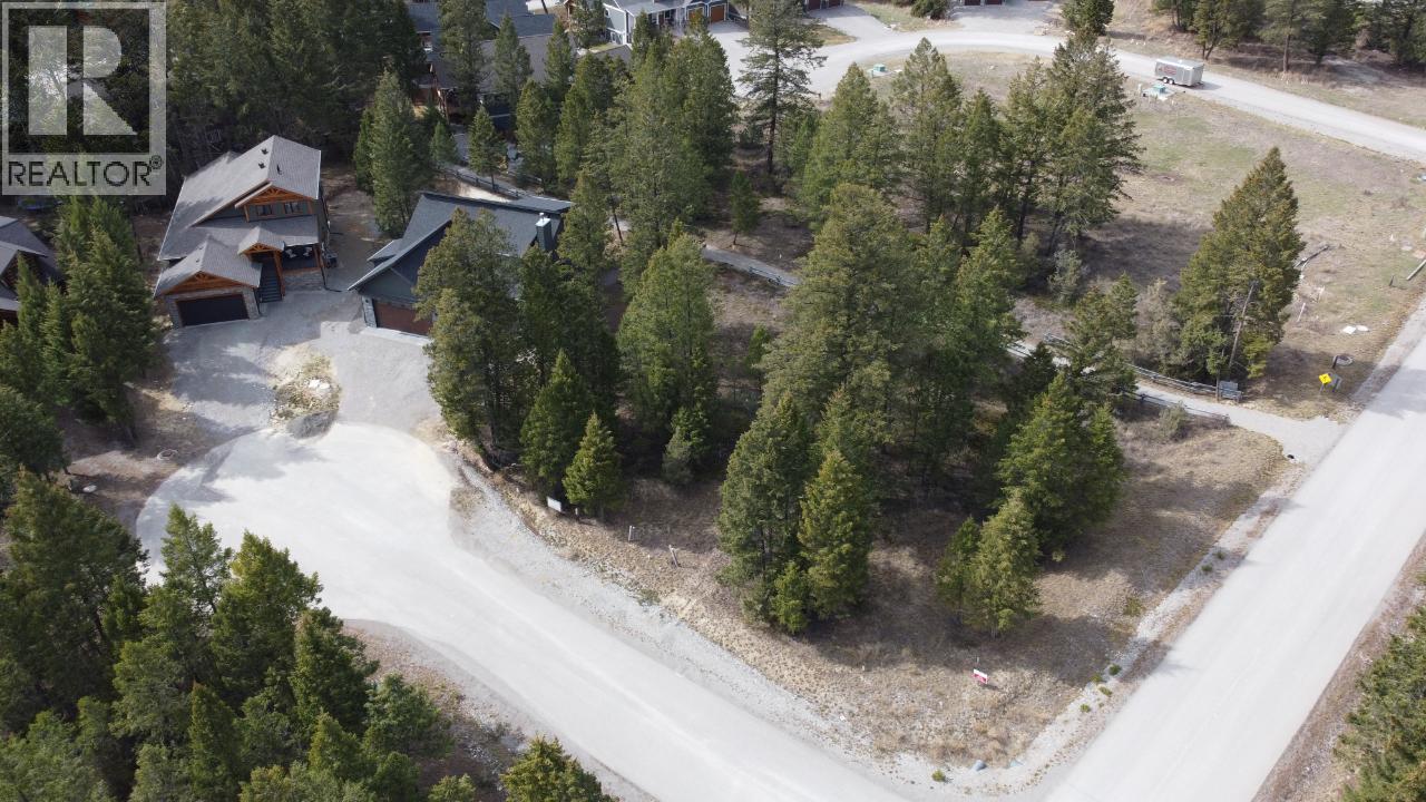 Lot 1 Pedley Heights Drive, Windermere, British Columbia  V0B 2L1 - Photo 5 - 10365311