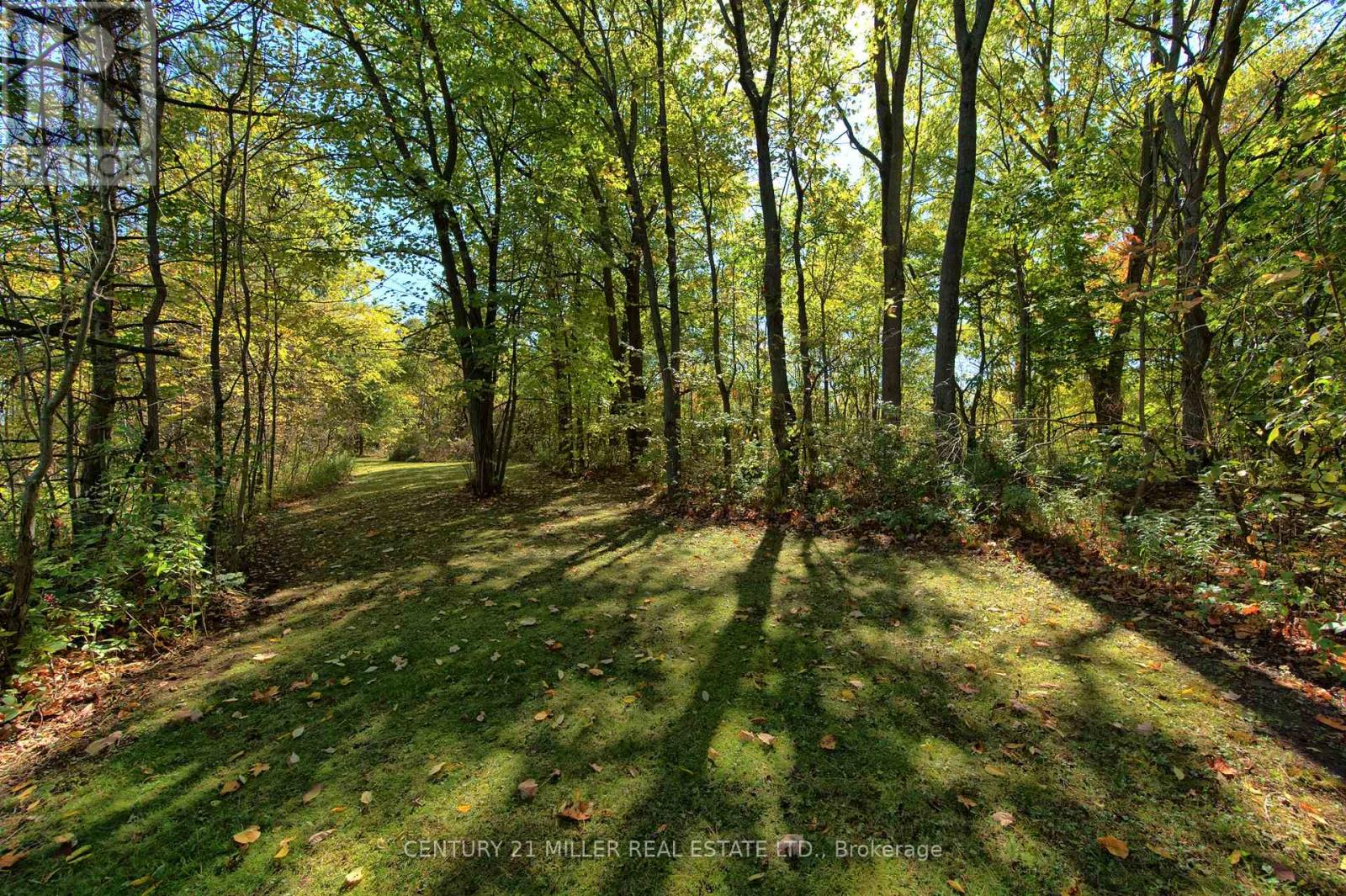 99 Mcbay Road, Brant, Ontario  N3T 5L4 - Photo 47 - X12450573