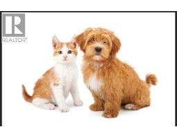 123 Pet Specialty with Grooming Way, Edmonton, Alberta
