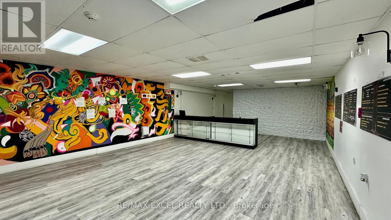 Lower - 357 Spadina Avenue, Toronto, Ontario  M5P 2V6 - Photo 2 - C12450616