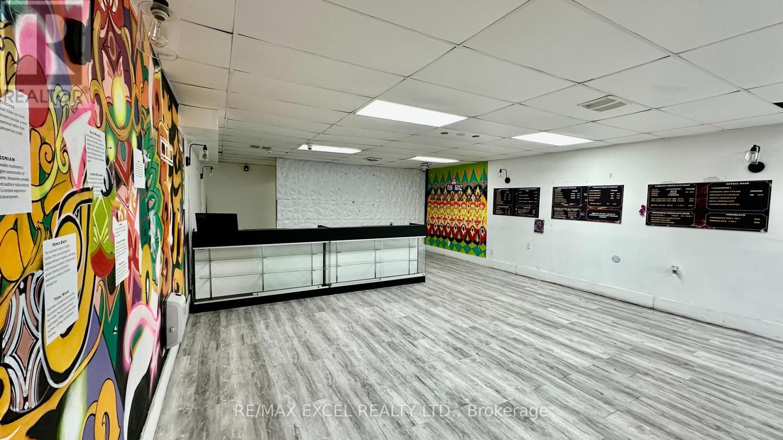 Lower - 357 Spadina Avenue, Toronto, Ontario  M5P 2V6 - Photo 3 - C12450616