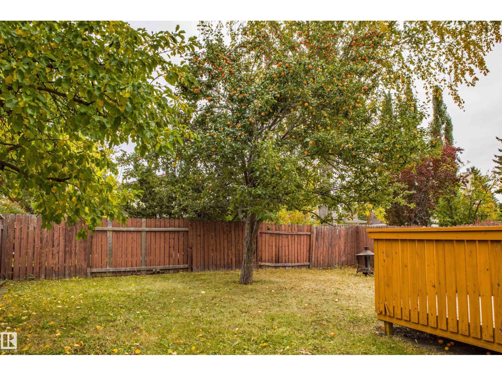 3835 47 St Nw Nw, Edmonton, Alberta  T6L 5B3 - Photo 58 - E4461220