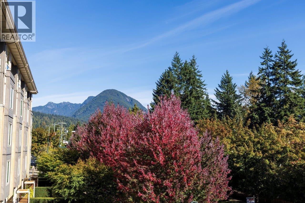 301 2665 Mountain Highway, North Vancouver, British Columbia  V7J 0A8 - Photo 30 - R3056405