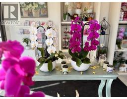 332 MAIN Street N Unit# #9, brampton, Ontario