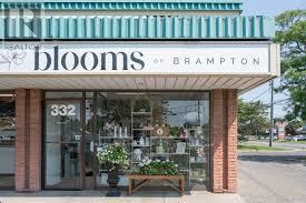 9 - 332 MAIN STREET N, Brampton, Ontario