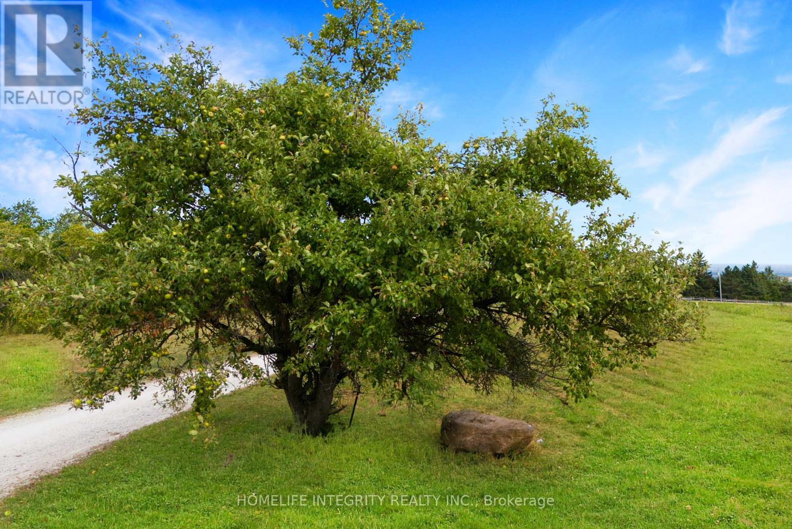 838722 4th Line E, Mulmur, Ontario  L9V 0J7 - Photo 24 - S12404604