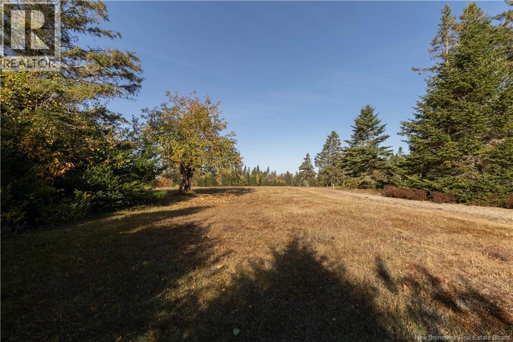 767 Shepody Road, Londonderry, New Brunswick  E4E 0K8 - Photo 37 - NB128018