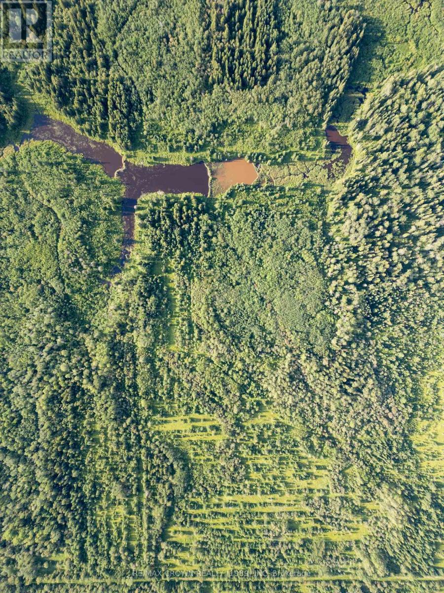 Lot 4 Pcl 2225, Mattice-Val Cote, Ontario  P0L 1T0 - Photo 6 - T12450841