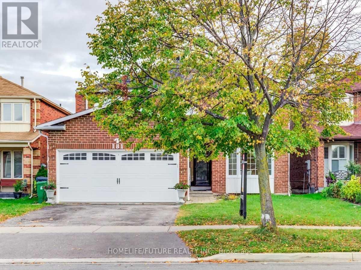 Bsmt - 181 Hupfield Trail, Toronto, Ontario  M1B 4P2 - Photo 3 - E12450837