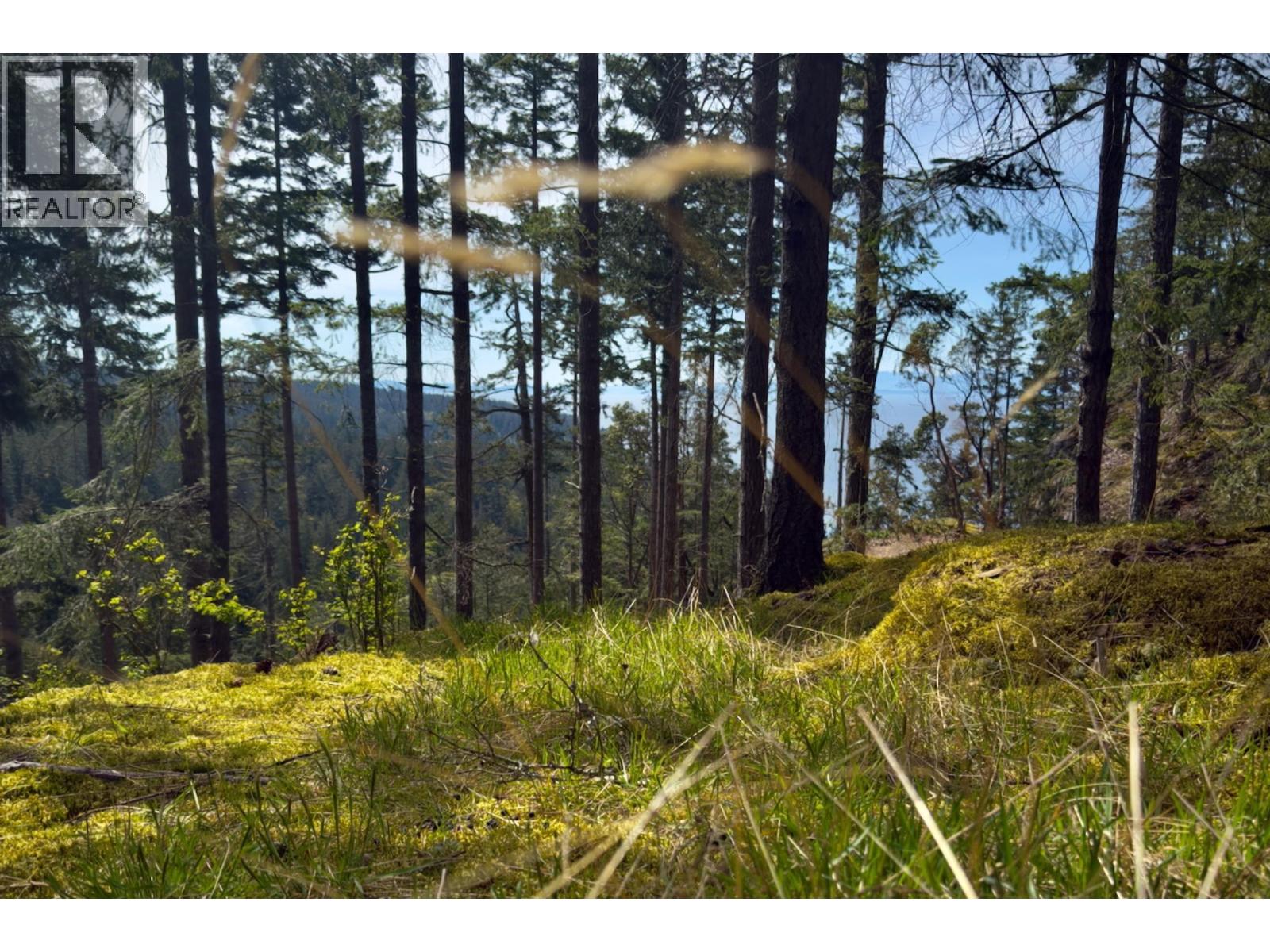 Ph3 Lot3 Arbutus Ridge, Bowen Island, British Columbia  V0N 1G2 - Photo 10 - R3055543