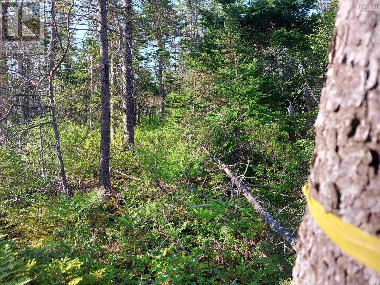 Lot B1 Katja Rose Dr, Hay Cove, Nova Scotia  B0E 3B0 - Photo 10 - 202522841