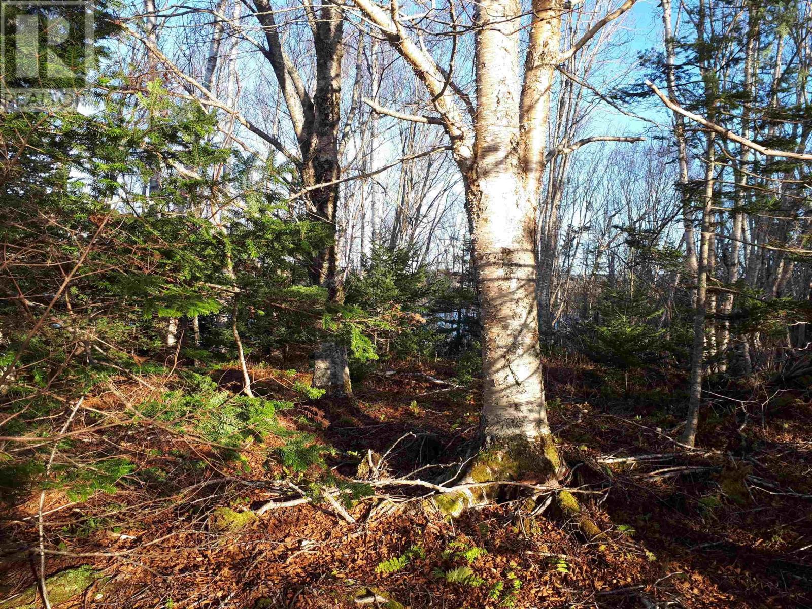 Lot 18 Torus Dr, Macnabs Cove, Nova Scotia  B0E 3B0 - Photo 9 - 202516725