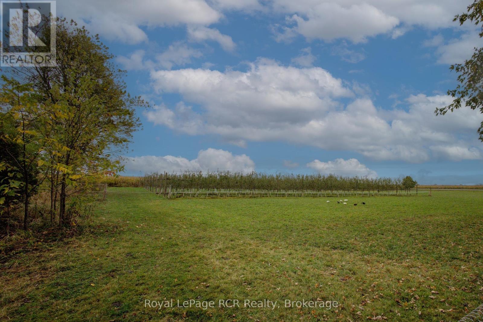 8220 8 Line, Wellington North, Ontario  N0G 2E0 - Photo 38 - X12450928