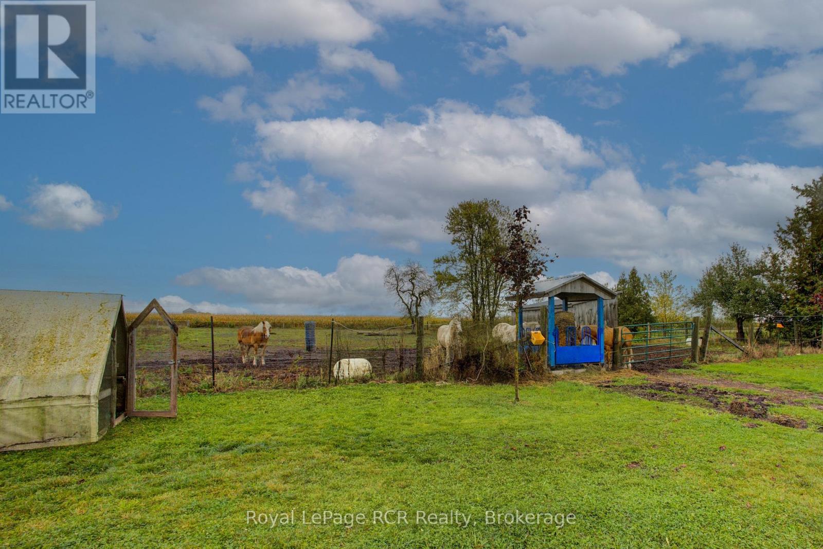 8220 8 Line, Wellington North, Ontario  N0G 2E0 - Photo 35 - X12450928