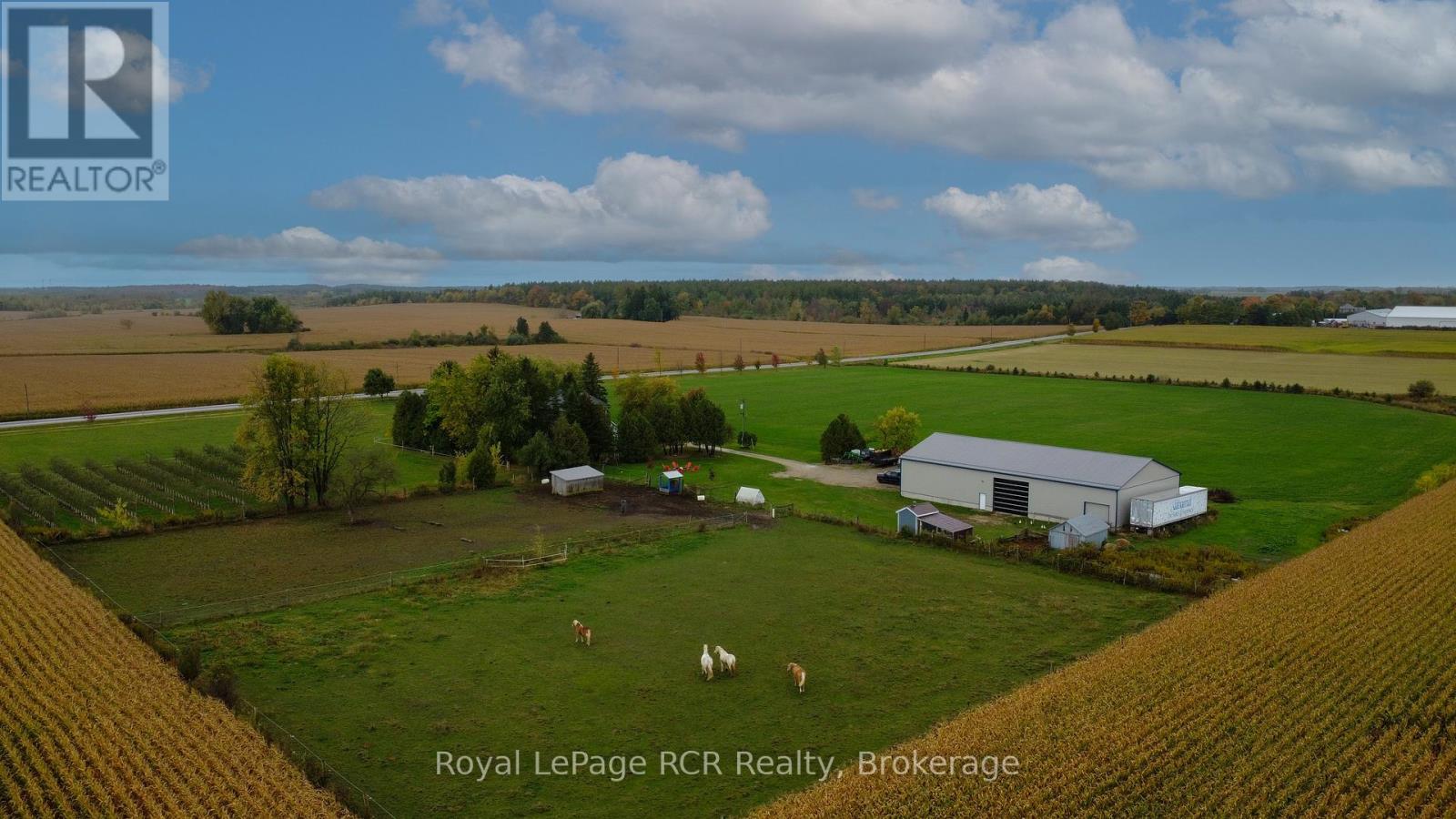 8220 8 Line, Wellington North, Ontario  N0G 2E0 - Photo 46 - X12450928
