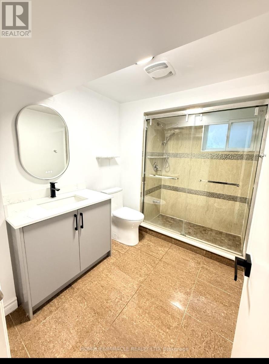 Basement - 289 Coronation Drive, Toronto, Ontario  M1E 2J5 - Photo 7 - E12450916