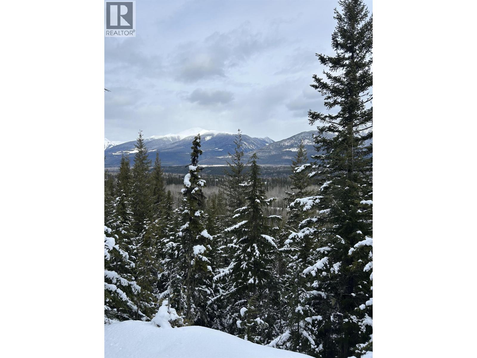 Dl 7054 W 16 Highway, Mcbride, British Columbia  V0J 2E0 - Photo 7 - R3052819