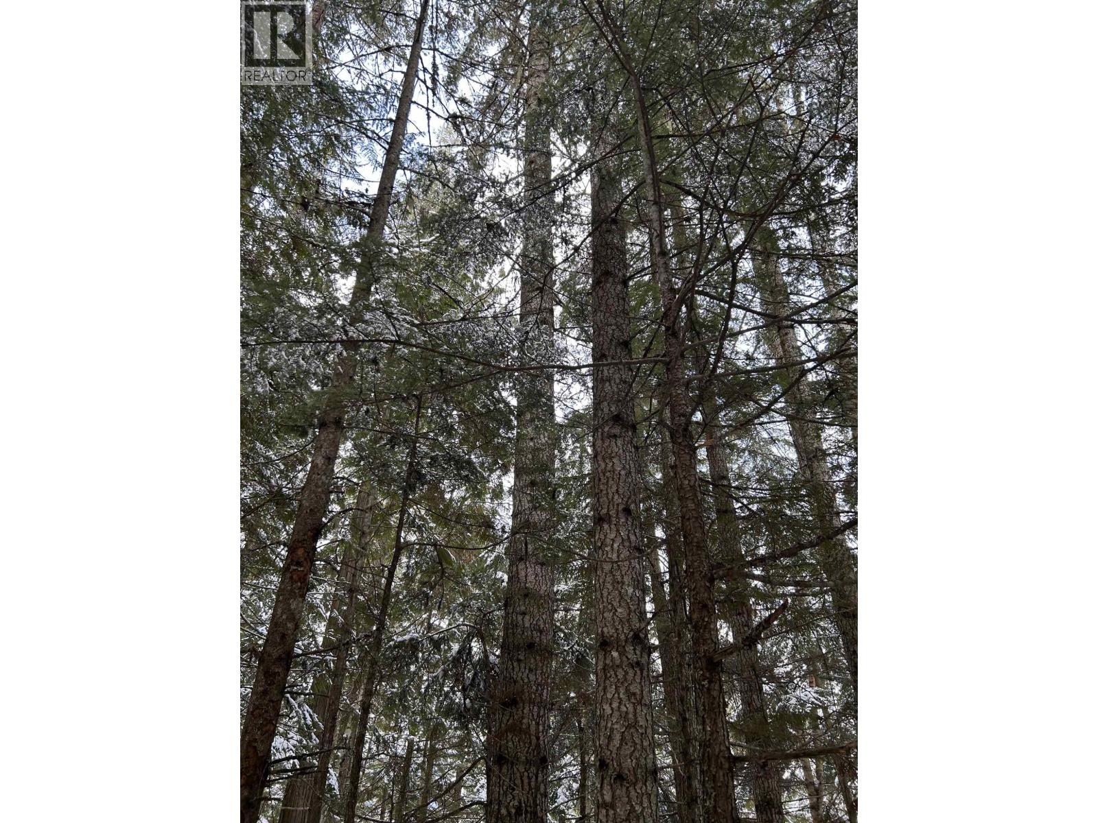 Dl 7054 W 16 Highway, Mcbride, British Columbia  V0J 2E0 - Photo 5 - R3052819