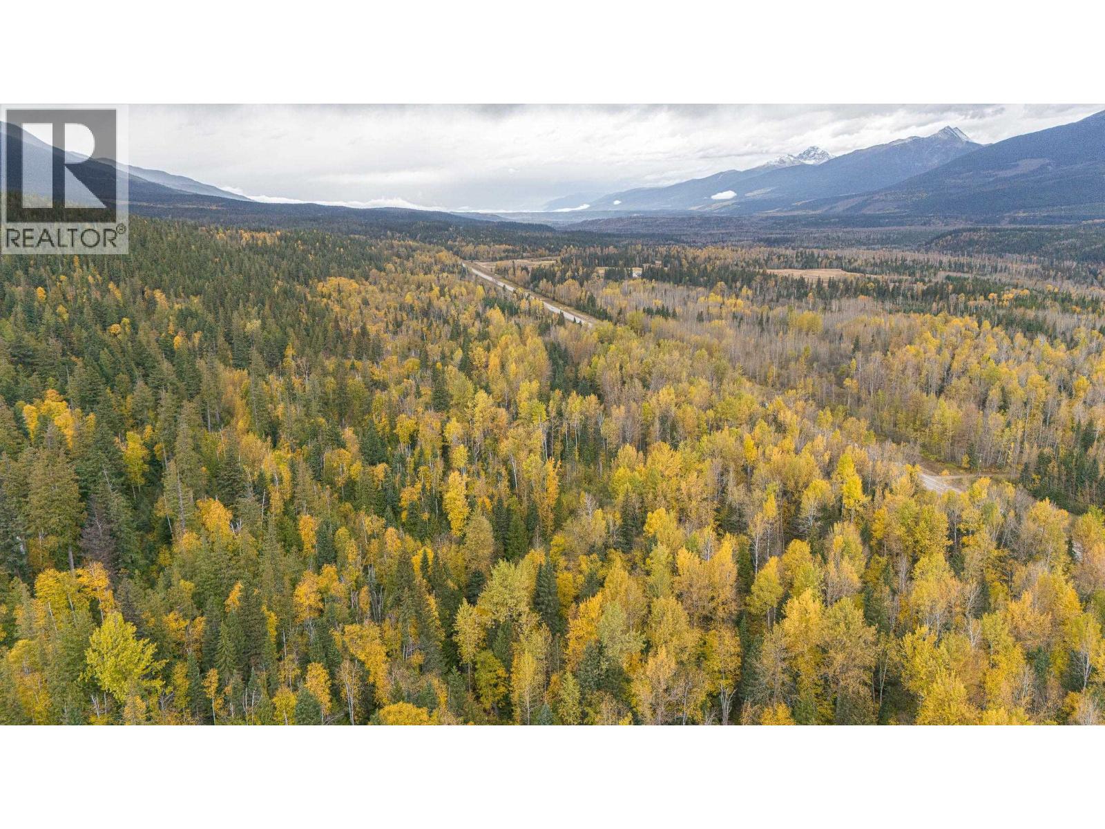 Dl 7054 W 16 Highway, Mcbride, British Columbia  V0J 2E0 - Photo 4 - R3052819